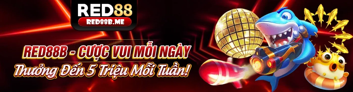 Bảo mật thông tin cmd368